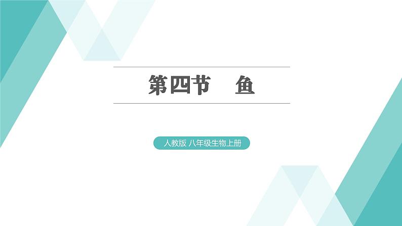 5.1.4 鱼 习题课件2024年初中秋季人教版生物八年级上册第1页