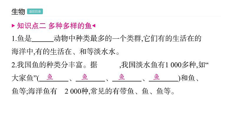 5.1.4 鱼 习题课件2024年初中秋季人教版生物八年级上册第4页