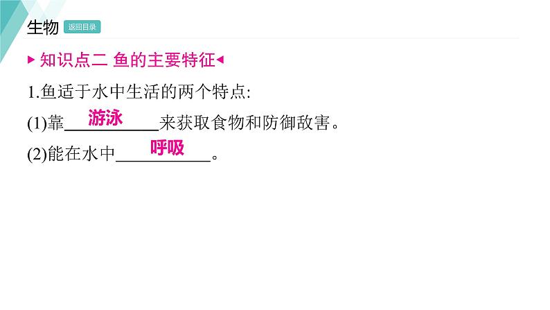 5.1.4 鱼 习题课件2024年初中秋季人教版生物八年级上册第5页