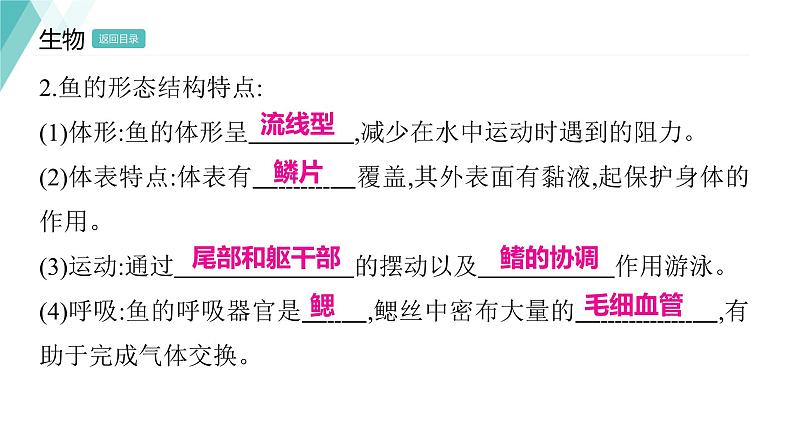 5.1.4 鱼 习题课件2024年初中秋季人教版生物八年级上册第6页