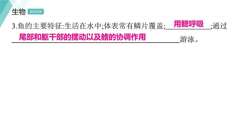 5.1.4 鱼 习题课件2024年初中秋季人教版生物八年级上册第7页