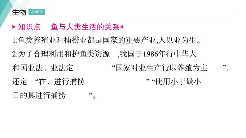 5.1.4 鱼 习题课件2024年初中秋季人教版生物八年级上册第8页