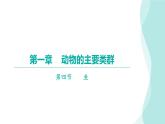 5.1.4鱼 课件2024年初中秋季人教版生物八年级上册