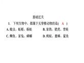 5.1.4鱼 课件2024年初中秋季人教版生物八年级上册