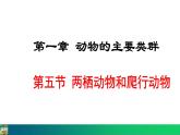 5.1.5  两栖动物和爬行动物课件2024年初中秋季人教版生物八年级上册
