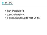 5.1.5  两栖动物和爬行动物课件2024年初中秋季人教版生物八年级上册