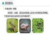 5.1.5  两栖动物和爬行动物课件2024年初中秋季人教版生物八年级上册