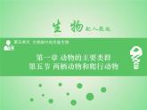 5.1.5 两栖动物和爬行动物课件2024年初中秋季人教版生物八年级上册