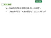 5.1.5 两栖动物和爬行动物课件2024年初中秋季人教版生物八年级上册
