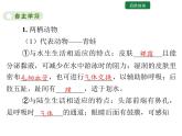 5.1.5 两栖动物和爬行动物课件2024年初中秋季人教版生物八年级上册