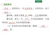 5.1.5 两栖动物和爬行动物课件2024年初中秋季人教版生物八年级上册