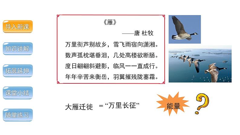 5.1.6 鸟 第2课时 课件 2024年初中秋季人教版生物八年级上册第3页