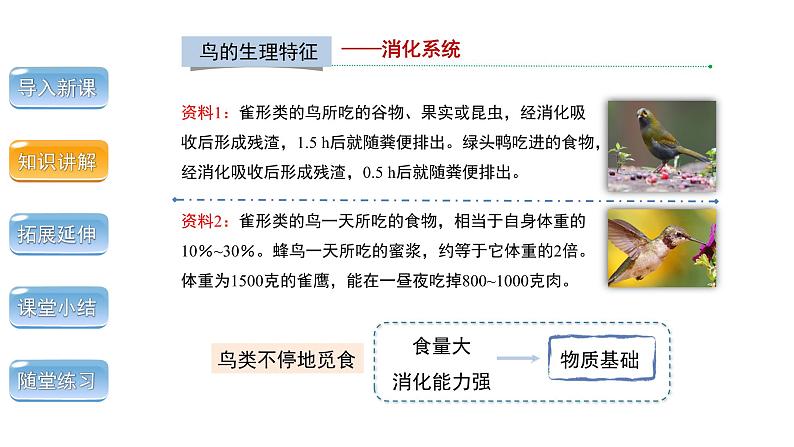 5.1.6 鸟 第2课时 课件 2024年初中秋季人教版生物八年级上册第4页