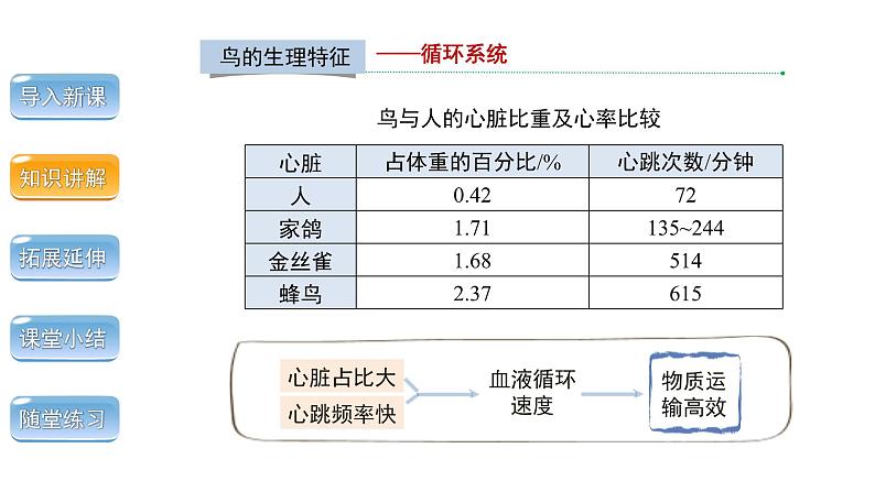 5.1.6 鸟 第2课时 课件 2024年初中秋季人教版生物八年级上册第8页
