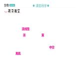 5.1.6 鸟习题课件2024年初中秋季人教版生物八年级上册