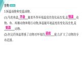 5.1.6 鸟习题课件2024年初中秋季人教版生物八年级上册