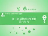 5.1.6 鸟课件2024年初中秋季人教版生物八年级上册