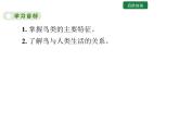 5.1.6 鸟课件2024年初中秋季人教版生物八年级上册