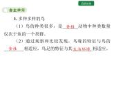 5.1.6 鸟课件2024年初中秋季人教版生物八年级上册
