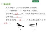 5.1.6 鸟课件2024年初中秋季人教版生物八年级上册