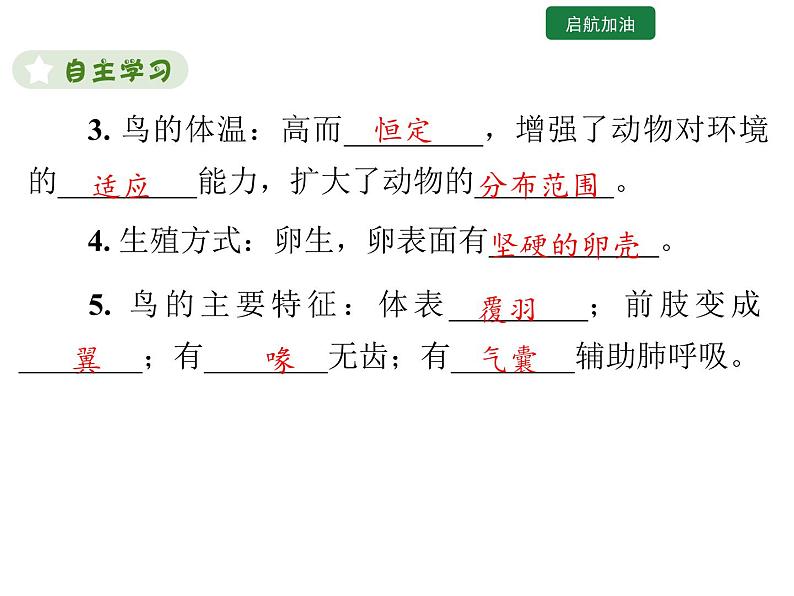 5.1.6 鸟课件2024年初中秋季人教版生物八年级上册第7页