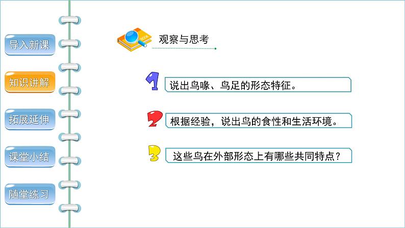 5.1.6鸟 第1课时 课件2024年初中秋季人教版生物八年级上册05