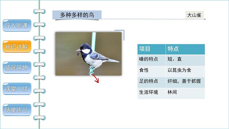 5.1.6鸟 第1课时 课件2024年初中秋季人教版生物八年级上册06