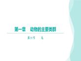 5.1.6鸟课件---2024年初中秋季人教版生物八年级上册