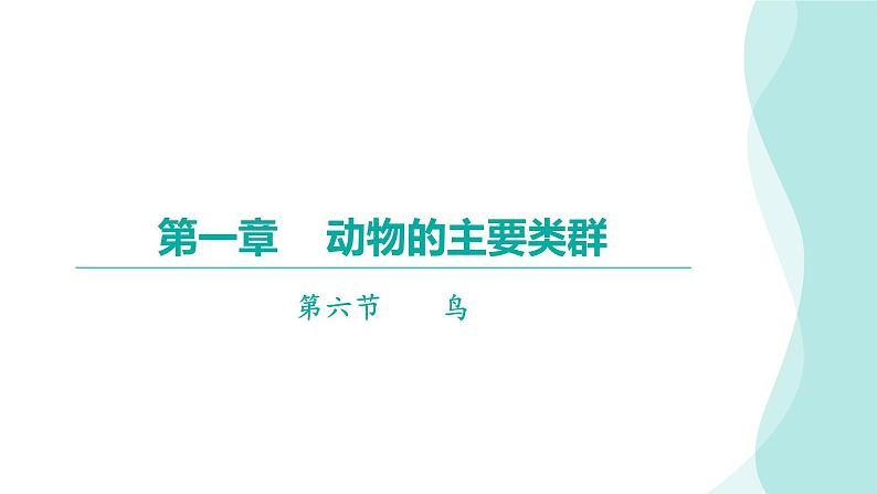 5.1.6鸟课件---2024年初中秋季人教版生物八年级上册第1页