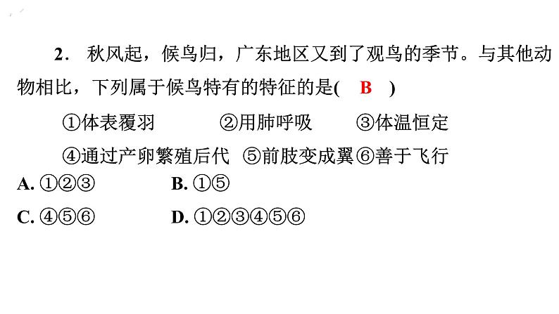 5.1.6鸟课件---2024年初中秋季人教版生物八年级上册第3页