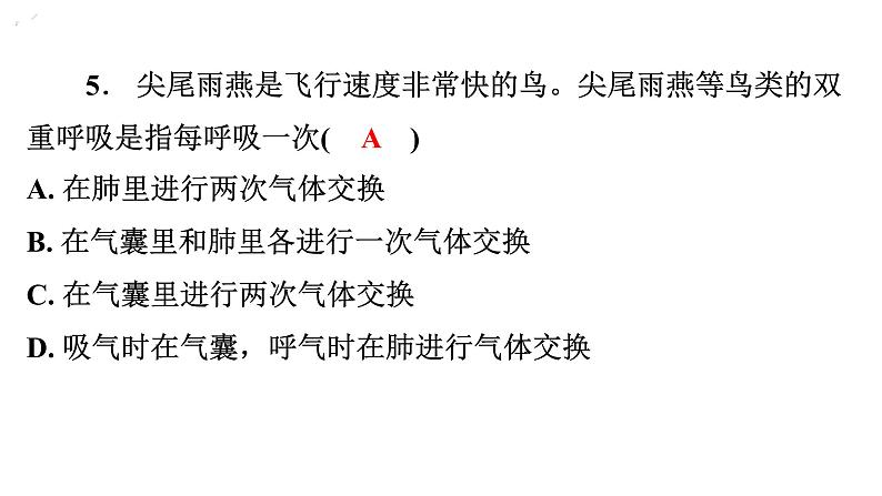 5.1.6鸟课件---2024年初中秋季人教版生物八年级上册第8页