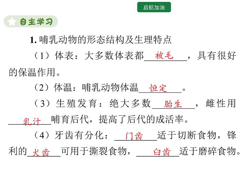 5.1.7  哺乳动物 课件2024年初中秋季人教版生物八年级上册第3页