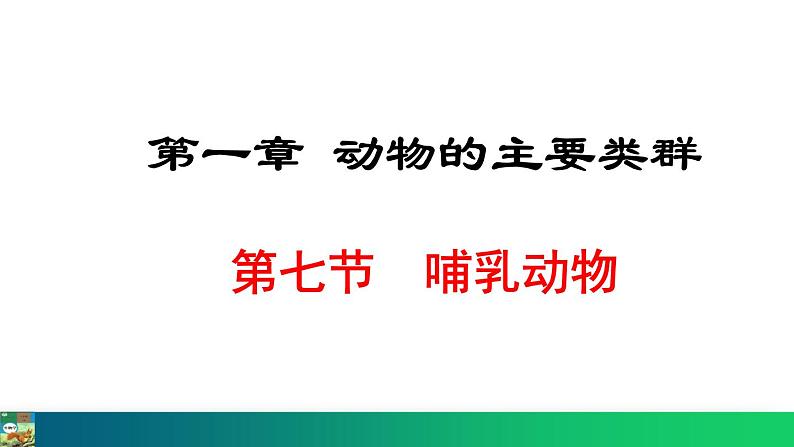 5.1.7  哺乳动物课件2024年初中秋季人教版生物八年级上册第1页