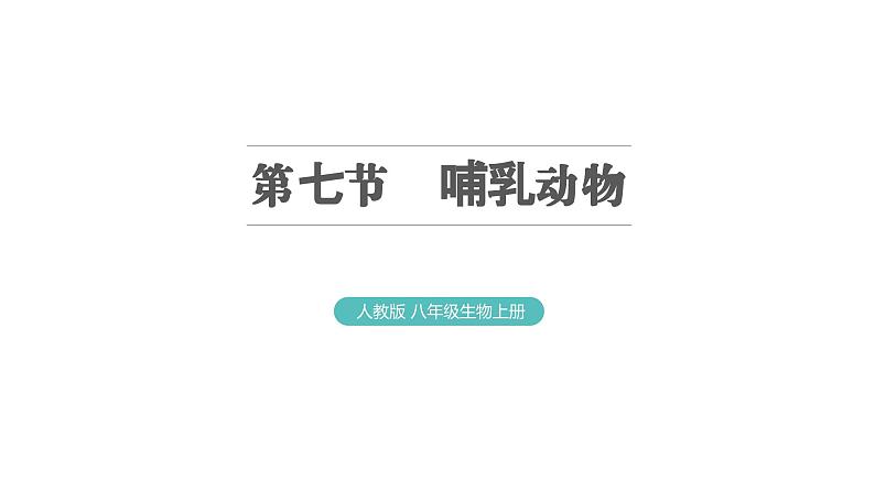 5.1.7 哺乳动物习题课件2024年初中秋季人教版生物八年级上册第1页