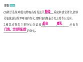 5.1.7 哺乳动物习题课件2024年初中秋季人教版生物八年级上册