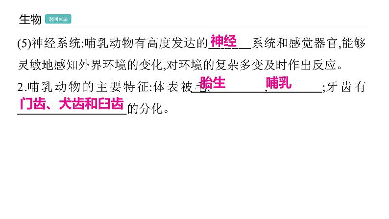 5.1.7 哺乳动物习题课件2024年初中秋季人教版生物八年级上册第5页