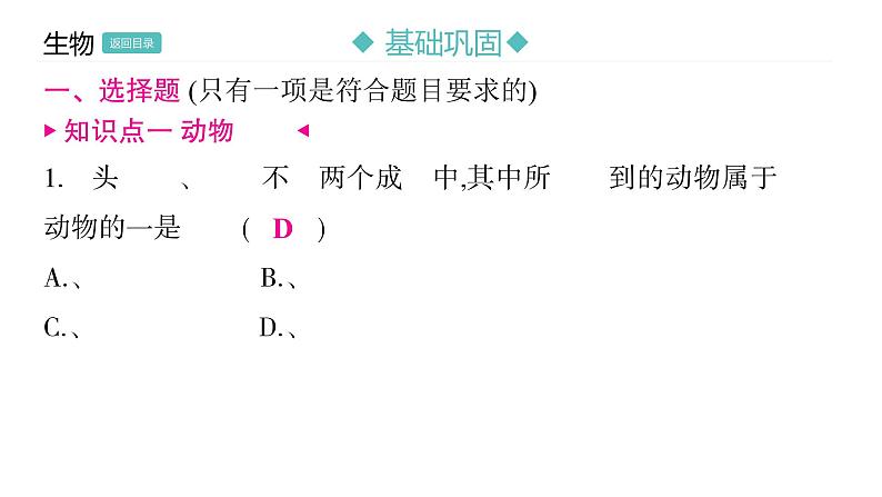 5.1.7 哺乳动物习题课件2024年初中秋季人教版生物八年级上册第7页