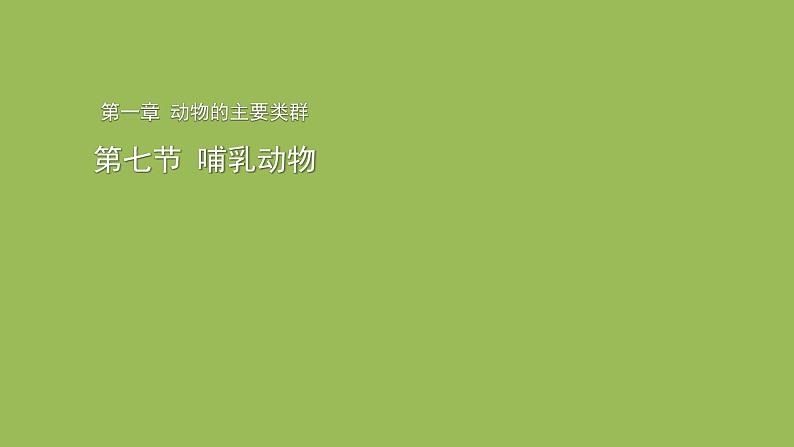 5.1.7哺乳动物 课件 2024年初中秋季人教版生物八年级上册第1页