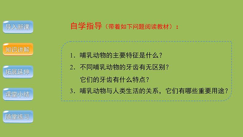 5.1.7哺乳动物 课件 2024年初中秋季人教版生物八年级上册第3页