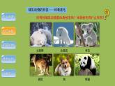 5.1.7哺乳动物 课件 2024年初中秋季人教版生物八年级上册