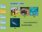 5.1.7哺乳动物 课件 2024年初中秋季人教版生物八年级上册