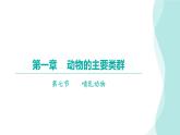 5.1.7哺乳动物课件2024年初中秋季人教版生物八年级上册