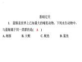 5.1.7哺乳动物课件2024年初中秋季人教版生物八年级上册
