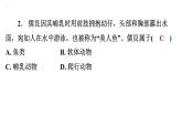 5.1.7哺乳动物课件2024年初中秋季人教版生物八年级上册