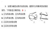 5.1.7哺乳动物课件2024年初中秋季人教版生物八年级上册