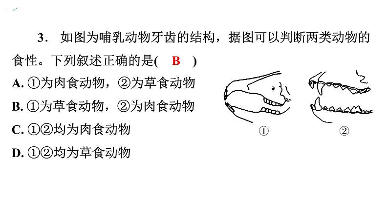 5.1.7哺乳动物课件2024年初中秋季人教版生物八年级上册04