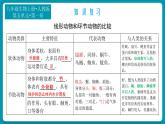 5.14鱼课件2024年初中秋季人教版生物八年级上册