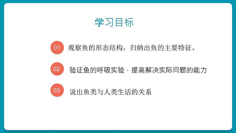 5.14鱼课件2024年初中秋季人教版生物八年级上册第4页