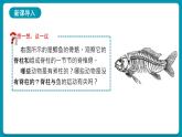 5.14鱼课件2024年初中秋季人教版生物八年级上册