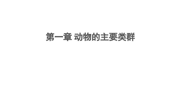 第一章 动物的主要类群课件2024年初中秋季人教版生物八年级上册01